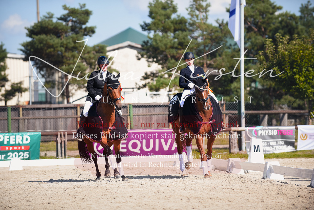 DSC_9812 | Pferde- und Turnierfotografie in Westsachsen. Pferdeportraits, Auftragszeichnungen und intuitive Kunst.