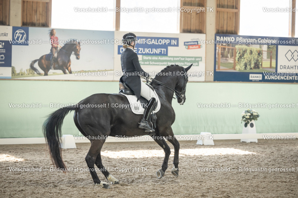 _D5A2115 | Emotionale Pferde- & People-Fotografie rund um Heidelberg, Leimen & Umgebung. Natürliche Fotos von Pferd, Mensch & Familie. Jetzt Termin sichern!