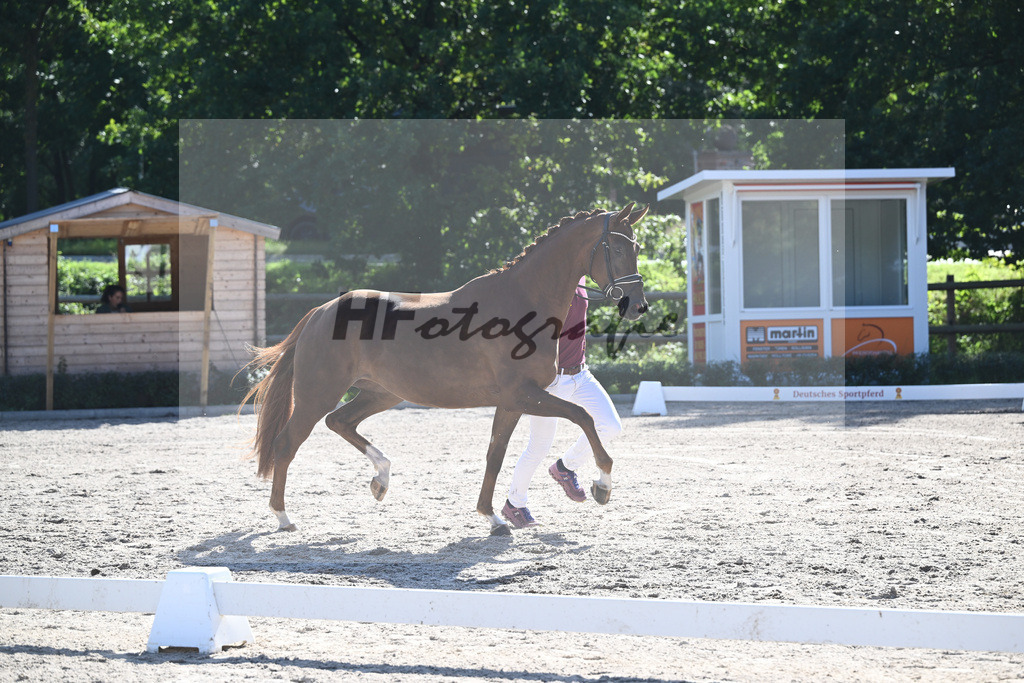 Kat-Nr. 20 Qaskiya_Kloessinger_36230805 | hf-fotografie - Realisiert mit Pictrs.com