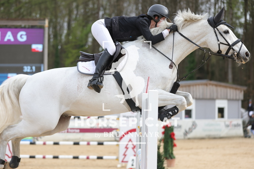 0P6A7070 | Willkommen bei Brunnmayr - Design & Fotografie – Ihrem Spezialisten für Reitturniere und Pferdeveranstaltungen in Oberösterreich, Salzburg und Bayern! Seit über 17 Jahren sind wir leidenschaftlich dabei.