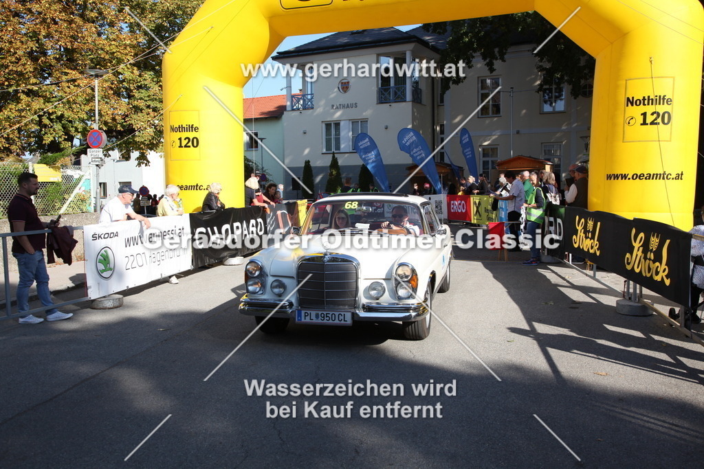 IMG_4343 | Gerhard Witt