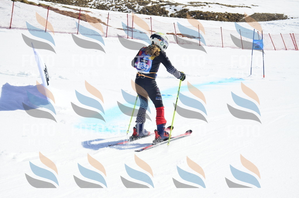 _ELE0864 | holidayphoto