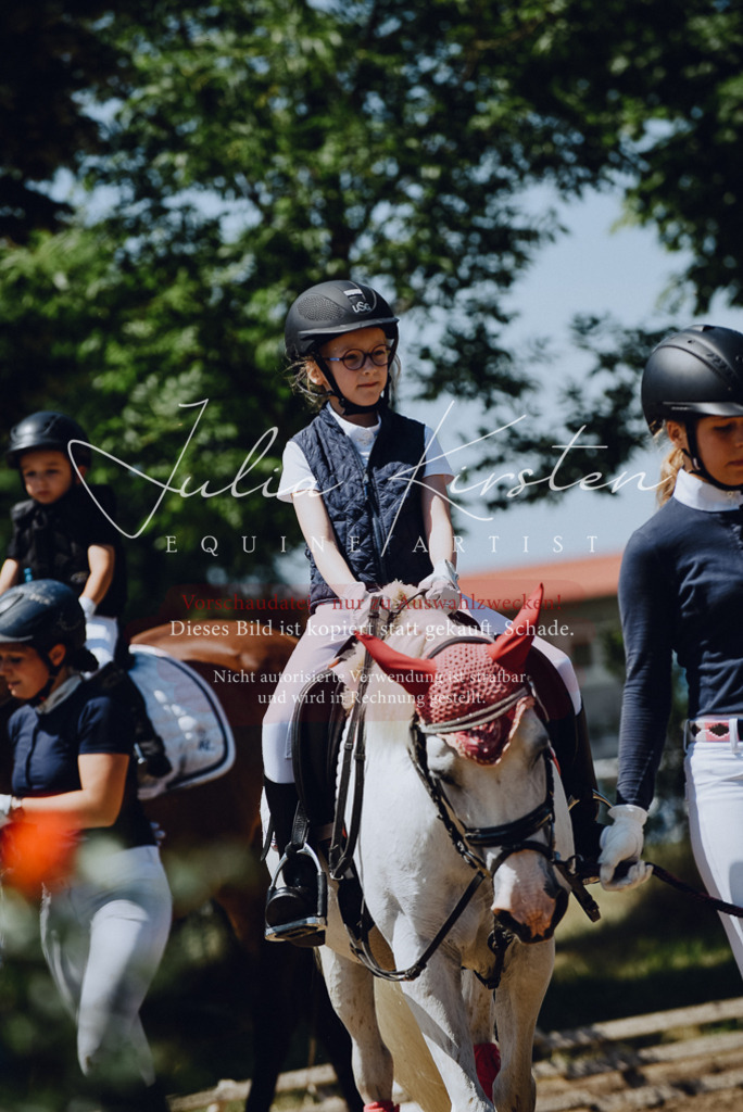 DSC_2512 | Pferde- und Turnierfotografie in Westsachsen. Pferdeportraits, Auftragszeichnungen und intuitive Kunst.