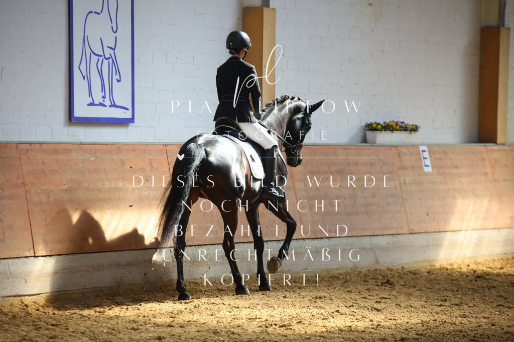 IMGT7064 | pl-fotografie