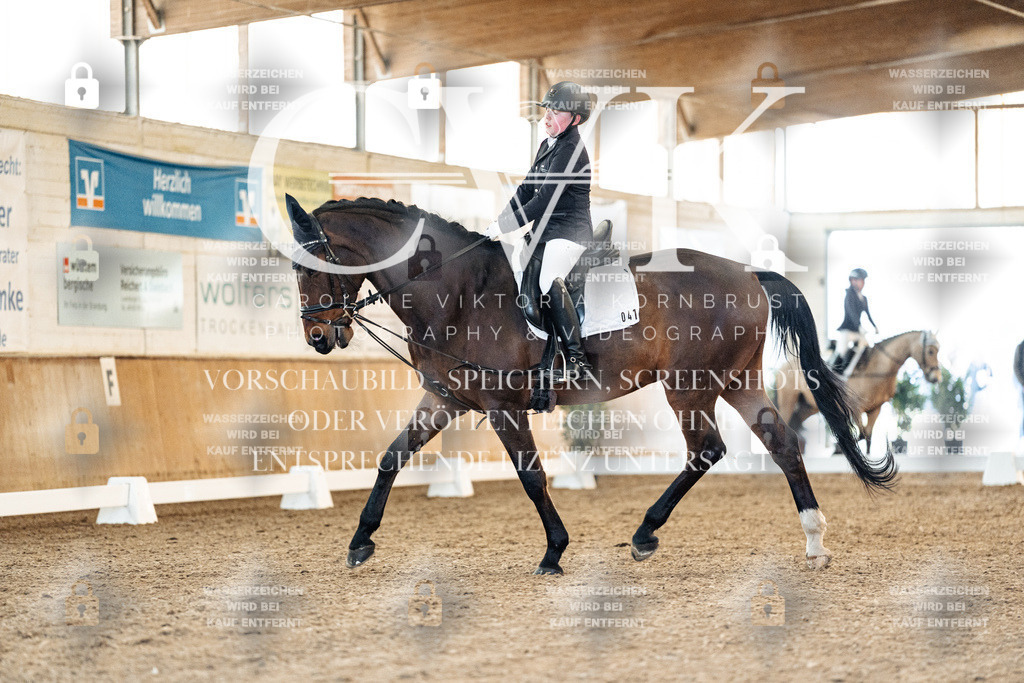 CK907321 | Turnierfotografie Pferdefotografie Trier Rheinland-Pfalz Pferdesport Reitsport Tierfotografie Sportfotografie Pferdevideo Pferdevideografie Equestrianvideography equestrianphotography  - Realisiert mit Pictrs.com