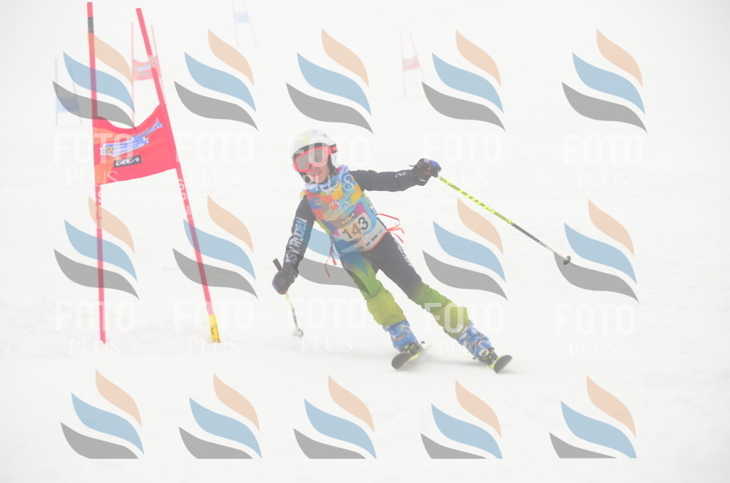 C1732 | holidayphoto