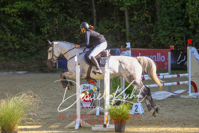 DKP42865 | Deine Turnierfotos vom Reitturnier online kaufen: Dressur, Springen & Siegerehrung. Professionelle Pferdefotografie aus dem Rheinland – als Download & Print.Alternative: Turnierfotograf für den Pferdesport: Finde deine Fotos von Dressur- und Springturnier