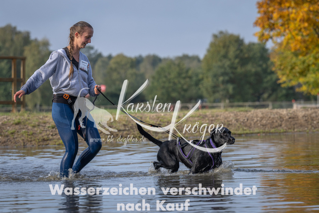 1016_ZZ92572 | kk-dogfotos