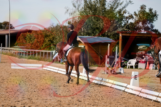 2026_10_03_Siefer-Hof_131017_Z63_72549510 | Professionelle Reitsport-, Turnier- und Eventfotografie von Robert Broda. Galerien mit ausgewählten und bearbeiteten Bildern direkt online ansehen und bestellen.