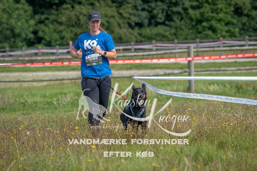 1156_ZZ90568 | kk-dogfotos