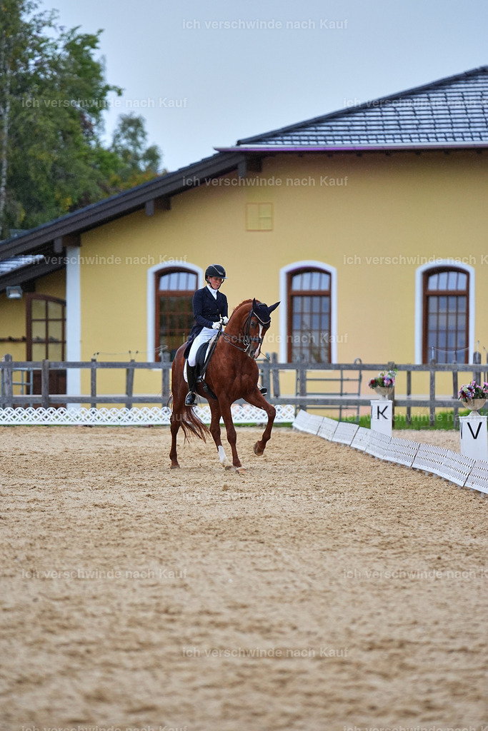 8_1-223-Klasse S_  -Marixx-4298 | working equitationturnier fotograf videograf stoibphotography marixx film working equitation deutschland reitsport turnierfotografie eventfotografie equestrian events