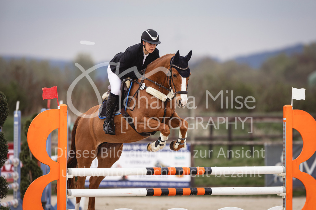 240327_Fruehlingsfest_Stil-L-2-356 | Deine schönsten Turniermomente als professionelle Fotos! Entdecke hochwertige Pferdesport-Fotografie im Online-Shop. Jetzt Fotos finden & bestellen!