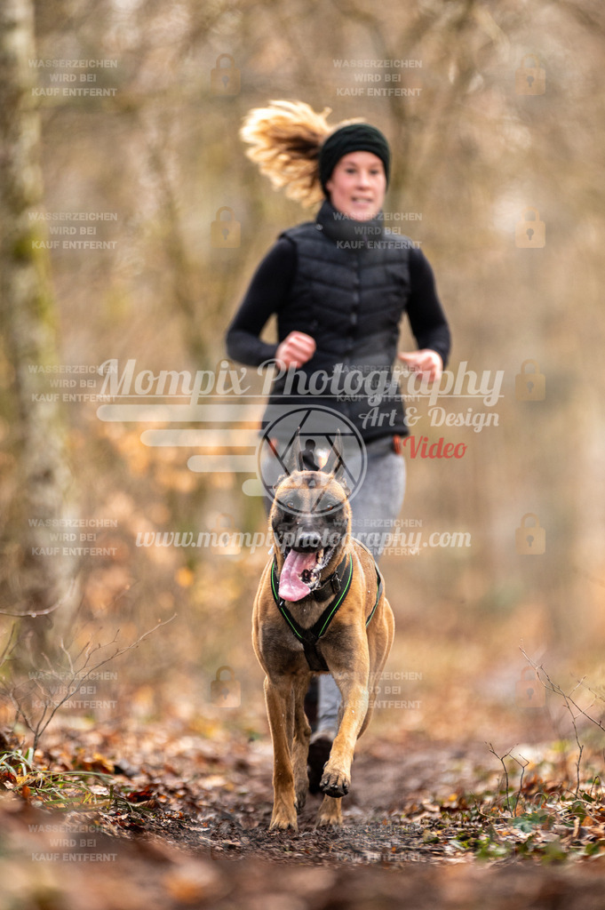 Reiat2023_SON_CaniXRun_8km_W-13 | PayLife