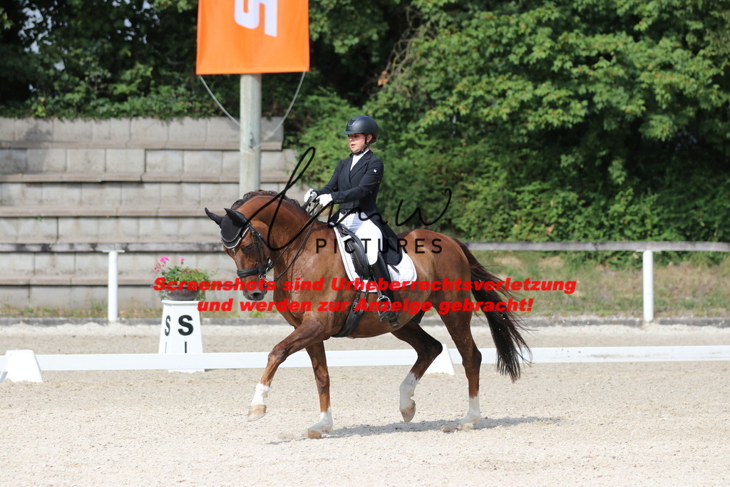 IMG_6837 | lmwpictures - Realisiert mit Pictrs.com