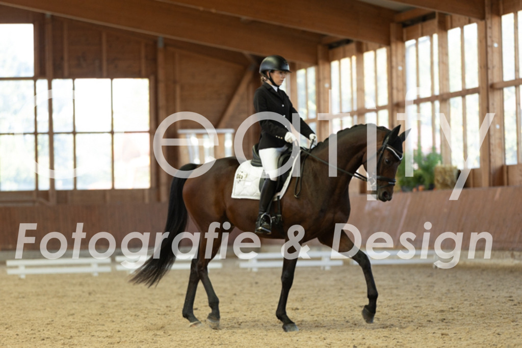 IMG_8710 | Creatify Fotografie