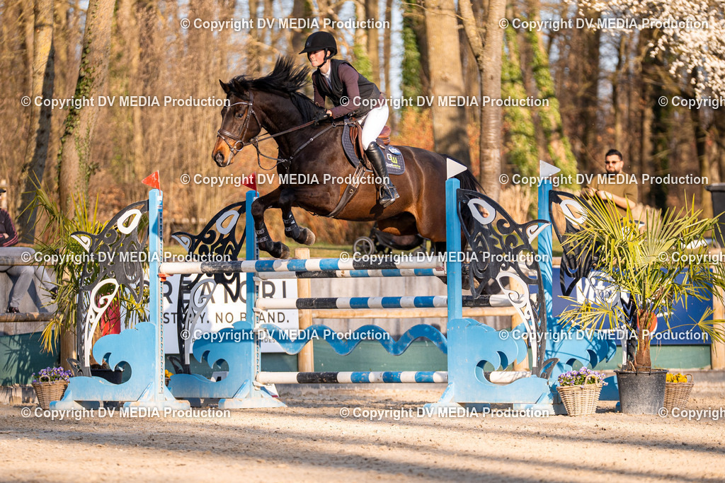 Kranichstein Tag 2-1093 | dv-media-shop - Realisiert mit Pictrs.com