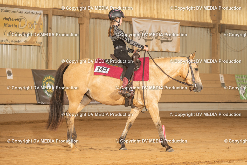 NID02878 | dv-media-shop - Realisiert mit Pictrs.com