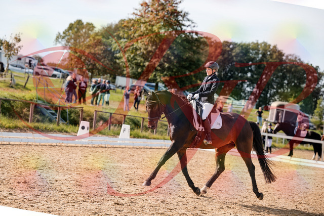 2026_10_03_Siefer-Hof_133621_Z63_96873903 | Professionelle Reitsport-, Turnier- und Eventfotografie von Robert Broda. Galerien mit ausgewählten und bearbeiteten Bildern direkt online ansehen und bestellen.