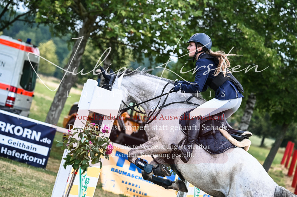 DSC_8151 | Pferde- und Turnierfotografie in Westsachsen. Pferdeportraits, Auftragszeichnungen und intuitive Kunst.