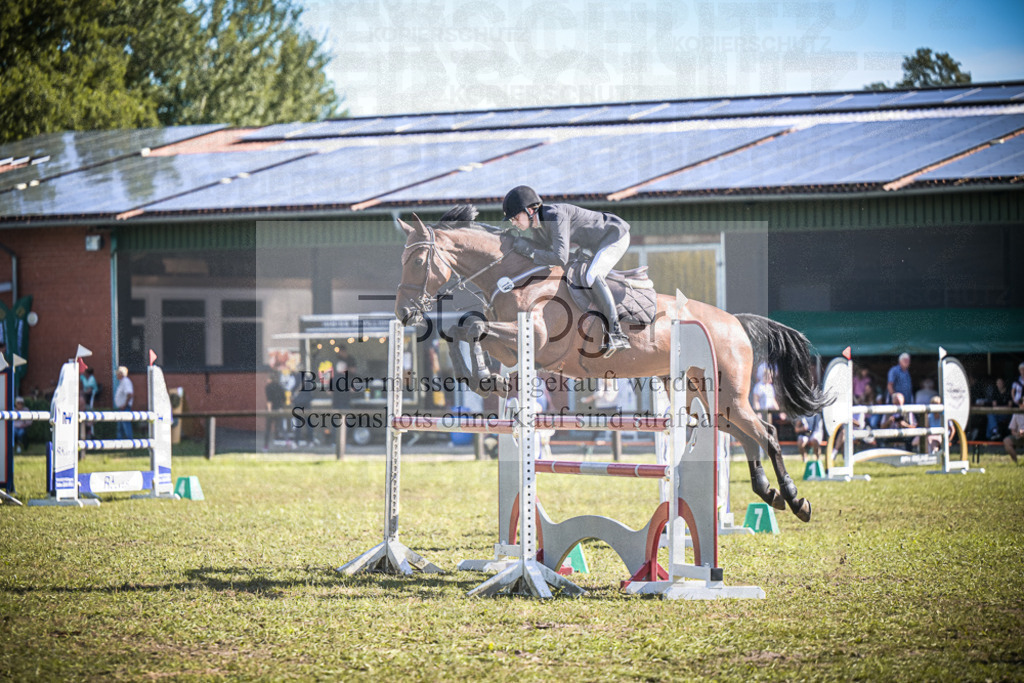 DOS_0504 | Entdecke hochwertige Reitturnierfotos von Foto Oger. Professionell, emotional und authentisch – jetzt Lieblingsmomente im Shop bestellen.Deutschlandweite Turnierfotografie. - Realisiert mit Pictrs.com