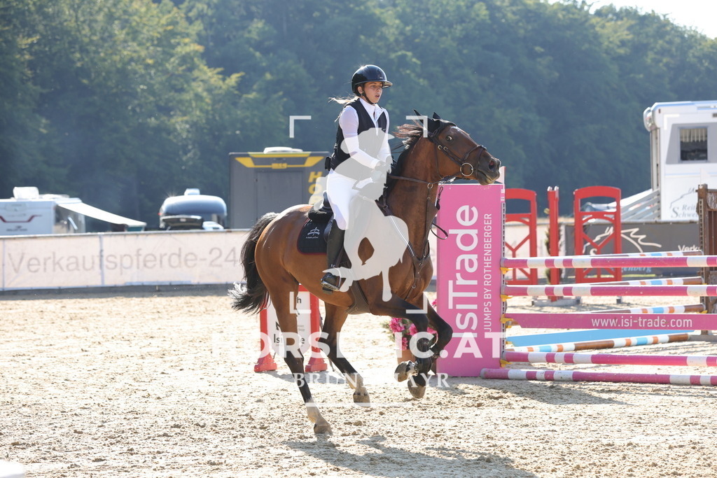 0P6A2152 | Willkommen bei Brunnmayr - Design & Fotografie – Ihrem Spezialisten für Reitturniere und Pferdeveranstaltungen in Oberösterreich, Salzburg und Bayern! Seit über 17 Jahren sind wir leidenschaftlich dabei.