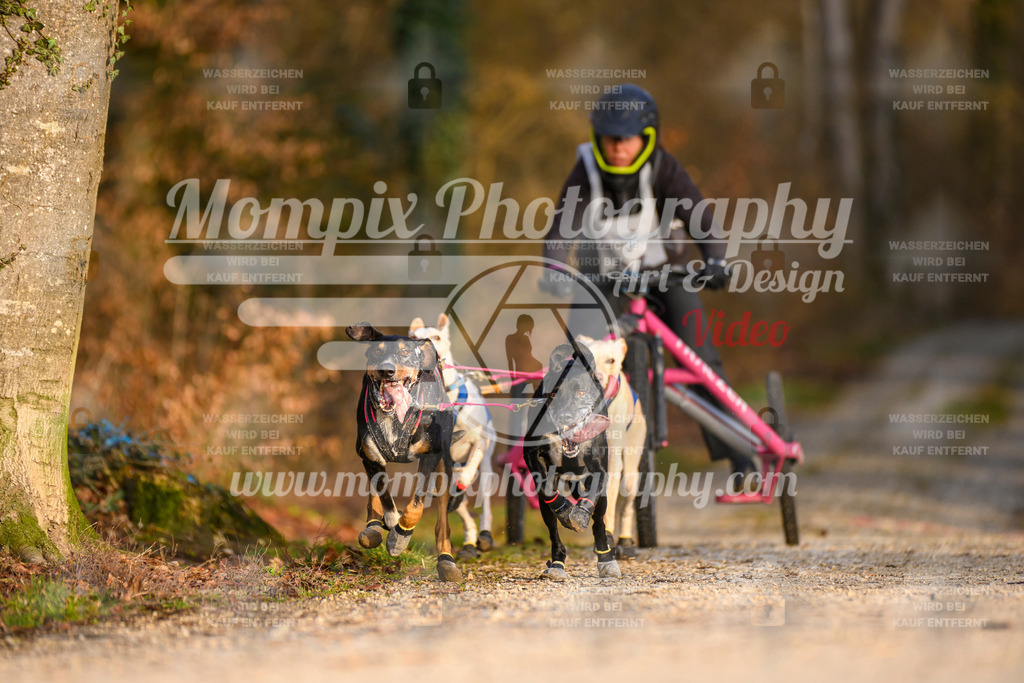MompixPhotography_6ReiatRennen2026_SO_Kart-20 | PayLife