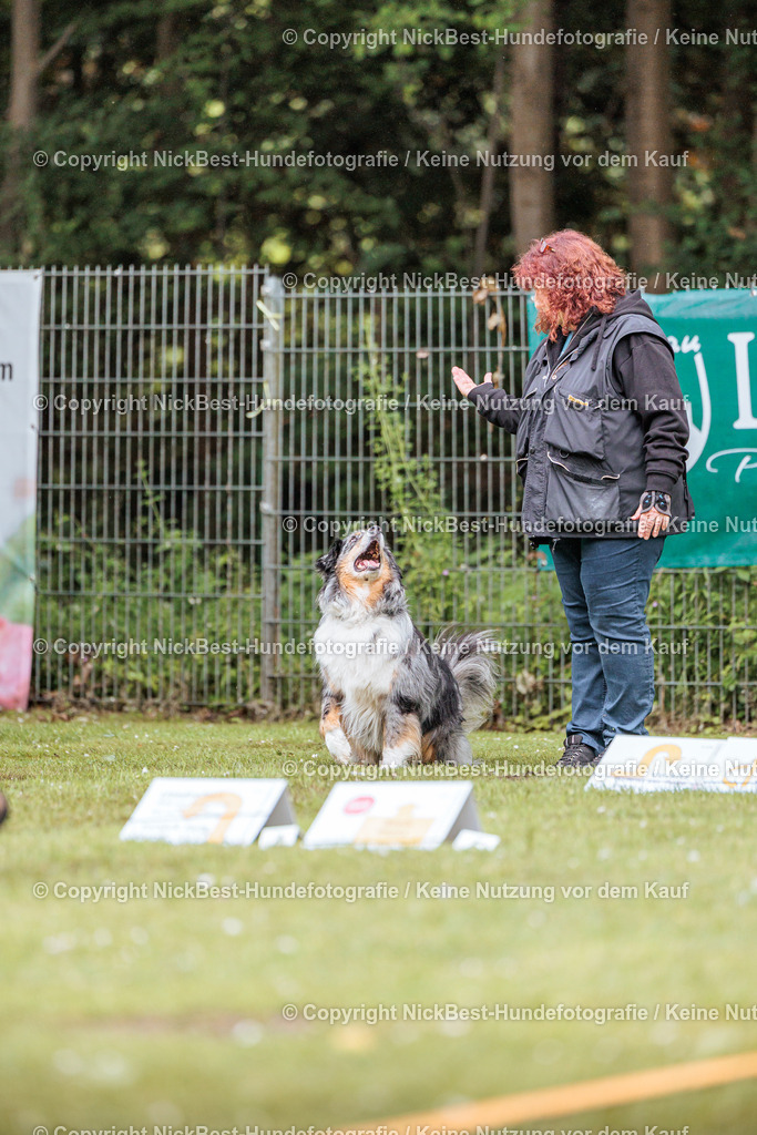 RO-Blumenthal-2026-Nickbest-Hundefotografie-3554 | Dein Hund! Dein Moment! Deine Erinnerungen! Hundefotografie in Bremen Blumenthal. Ich fange die besonderen Momente deines Vierbeiners ein – ob Indoor mit Blitzanlage oder in der freien Natur. Sicher dir dein Moment und dein Termin für eure Erinnerungen.