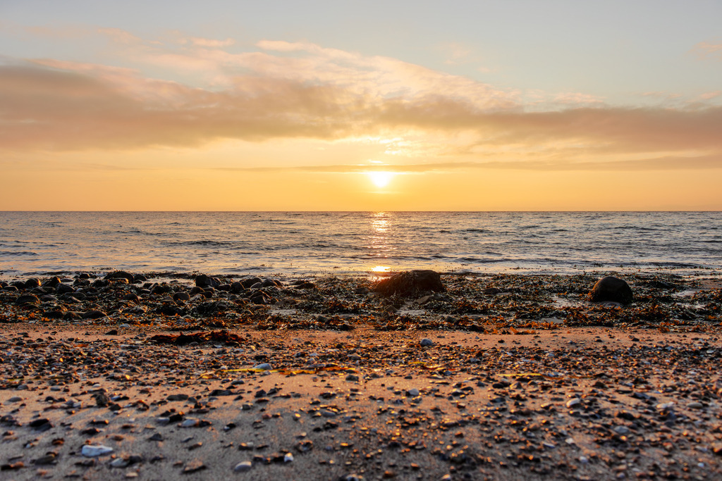 Wandbild: Morgenlicht am Naturstrand – Kleinwaabs ganz still | Dieses Wandbild zeigt den Naturstrand in Kleinwaabs an der Ostsee, aufgenommen bei Sonnenaufgang. Die Sonne steigt langsam über den Horizont und taucht Himmel und Wasser in sanftes Gold. Der Sand im Vordergrund ist durchzogen von kleinen Steinen, Muscheln und getrocknetem Seegras – Fundstücke, die Wind und Wellen an Land getragen haben. Einige Felsen liegen nahe der Wasserlinie und verleihen der Szene Tiefe und Struktur. Die Wolken sind vom ersten Licht durchzogen, der Himmel zeigt ein Farbspiel aus Orange, Rosa und Blau. Die Komposition lebt vom Zusammenspiel aus Licht, Textur und Küstenruhe – ein Bild, das den Zauber des Morgens und die Kraft des Neubeginns vermittelt. Ideal als Wandbild für naturnahe Wohnkonzepte – ob als Leinwandbild, Acrylglasbild, Alu-Dibond FineArt Print oder als Akustikbild. Ein atmosphärischer Akzent für Wohnzimmer, Büro oder Ferienwohnung. - Realisiert mit Pictrs.com