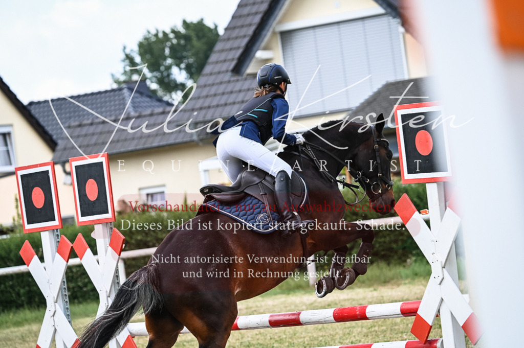 DSC_8223 | Pferde- und Turnierfotografie in Westsachsen. Pferdeportraits, Auftragszeichnungen und intuitive Kunst.