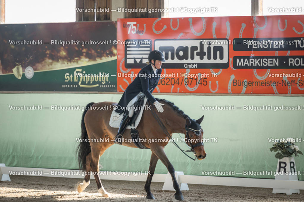 _D5A9725 | Emotionale Pferde- & People-Fotografie rund um Heidelberg, Leimen & Umgebung. Natürliche Fotos von Pferd, Mensch & Familie. Jetzt Termin sichern!