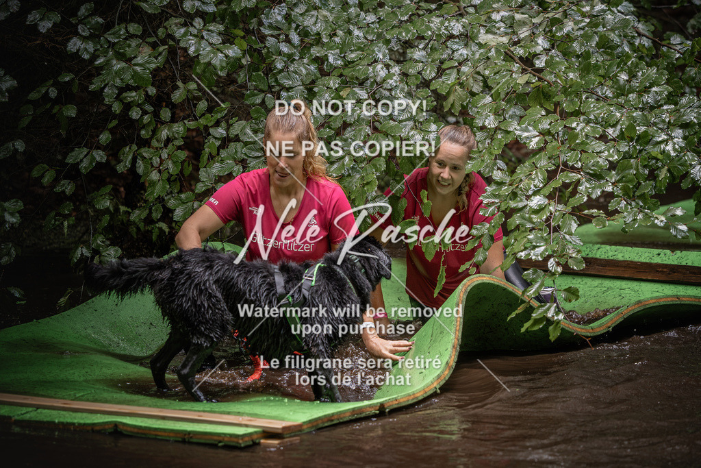 nelerasche_Wingst_Sa1330-1400_192 | nelerasche