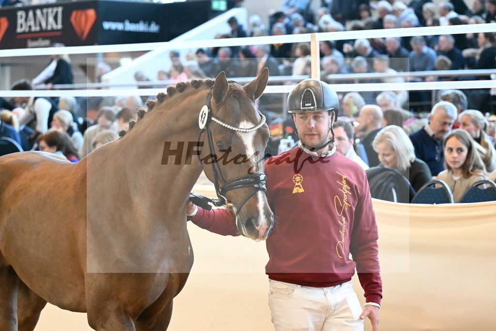 Kat.-Nr. 43 v. Dutch Dream_Ottmann_3261422 | hf-fotografie - Realizzato con Pictrs.com