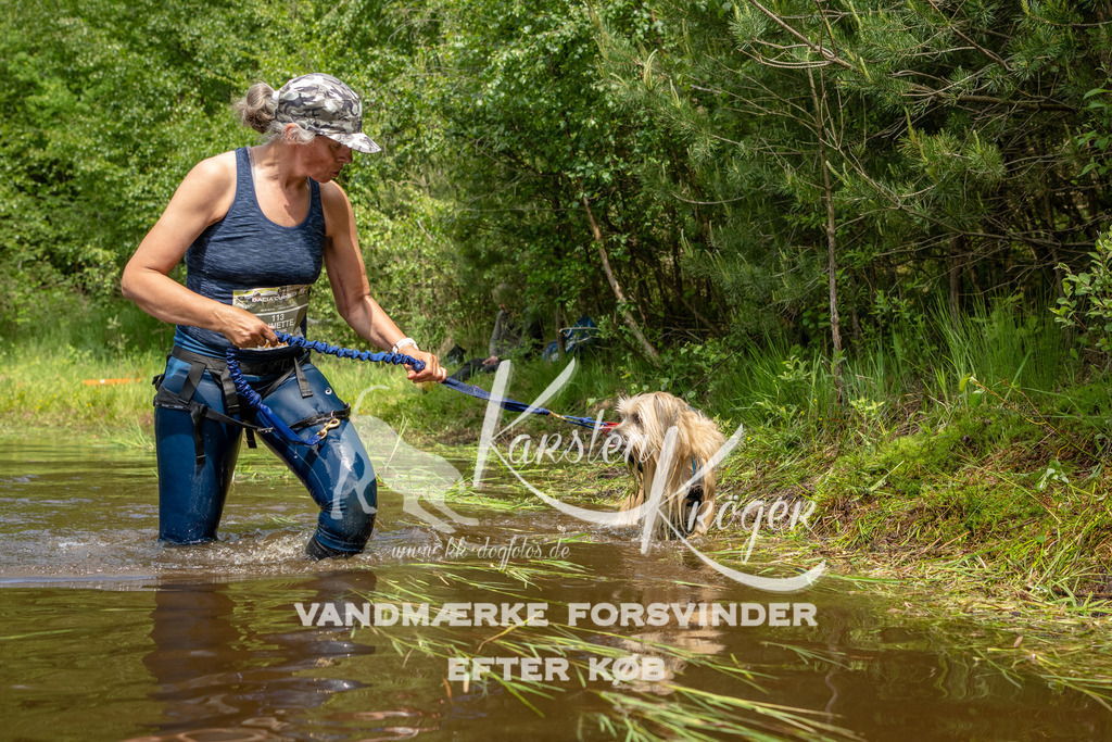 1236DKK993161 | kk-dogfotos