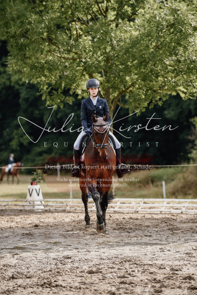 DSC_8611 | Pferde- und Turnierfotografie in Westsachsen. Pferdeportraits, Auftragszeichnungen und intuitive Kunst.