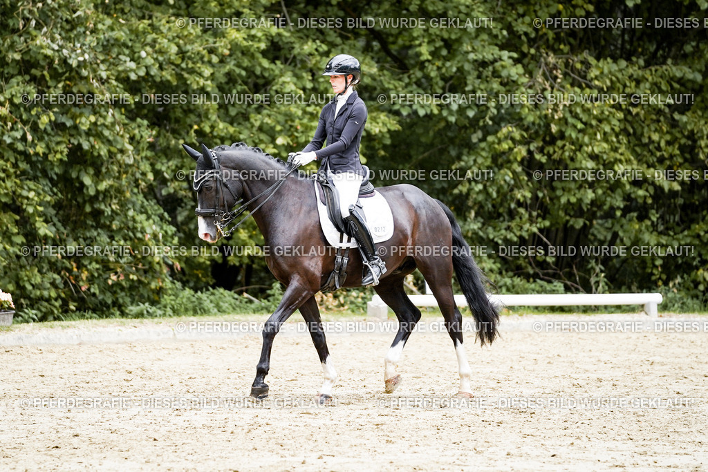 DSC06003 | Pferdegrafie