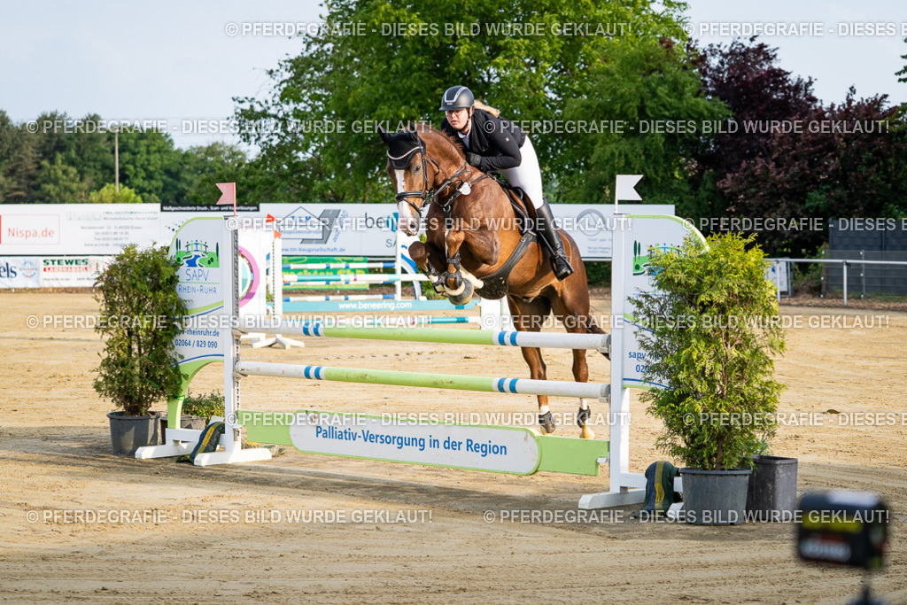 DSC01923 | Pferdegrafie