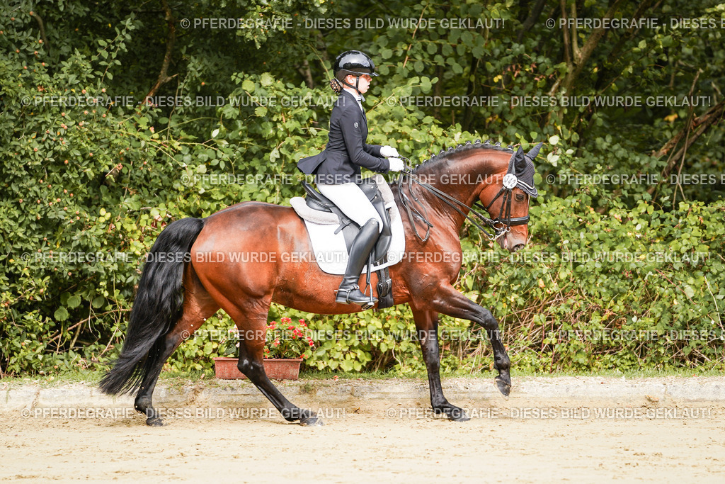 DSC02031 | Pferdegrafie