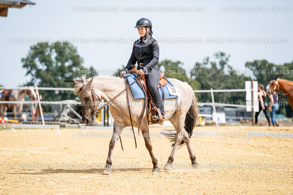 DSC09931 | Pferdegrafie