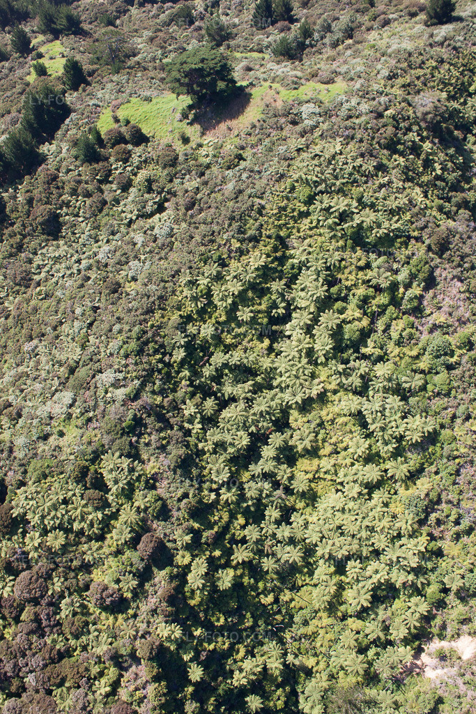Aerial view: View of the town in Coromandel in the state Waikato, New Zealand. – Photo: IMG_55784.jpg taken on 01/12/2013 by Werner Riehm/FLY-FOTO.com – Resolution of the original: 3168 x 4752 px