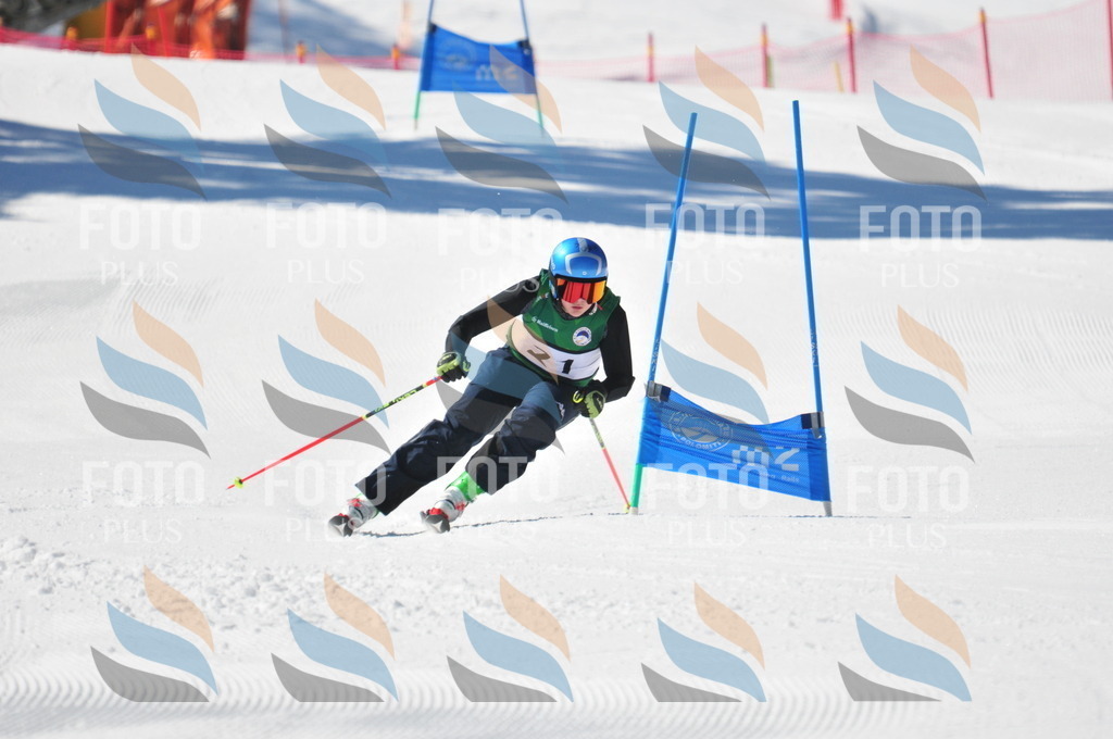 C3448 | holidayphoto