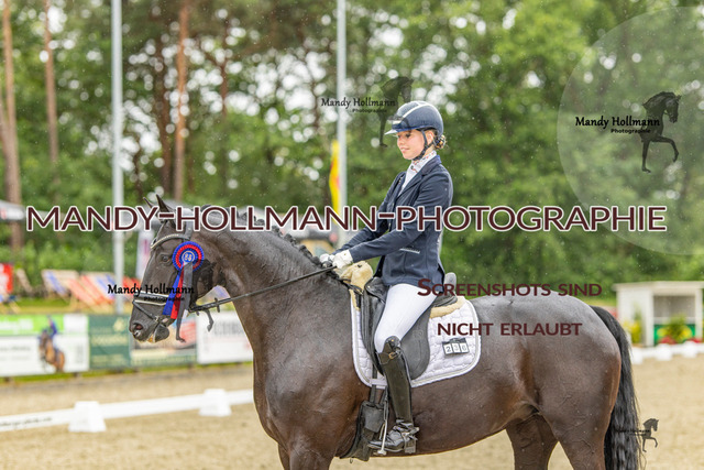 Höven DRE L (124) | mandyhollmannphotographie