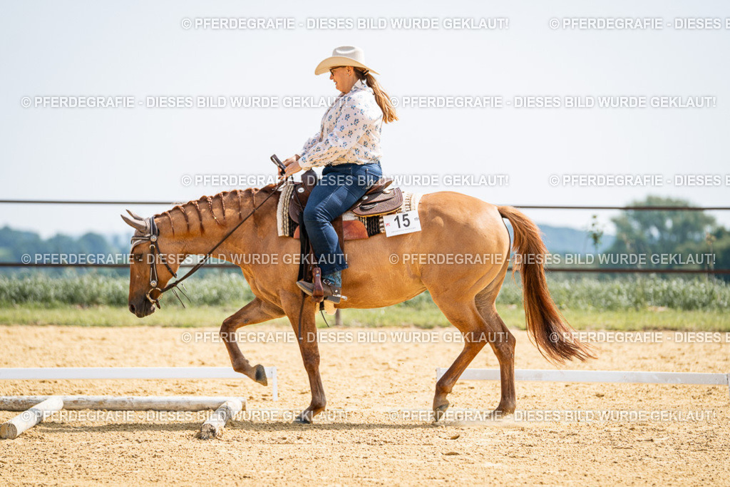 DSC09852 | Pferdegrafie