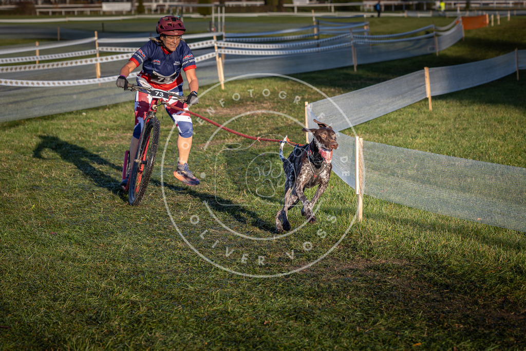 CaniXpix_0L8A3563 | Hundefotografie, Tierfotograf, Pfotenfotografie, Fotoshooting Hund, Hunde Portrait, Hundesport, Hundeportraits, Heideshooting, Hunde, Sportfotograf, Hundefotograf, Turnierhundsport, THS,  - Realisiert mit Pictrs.com