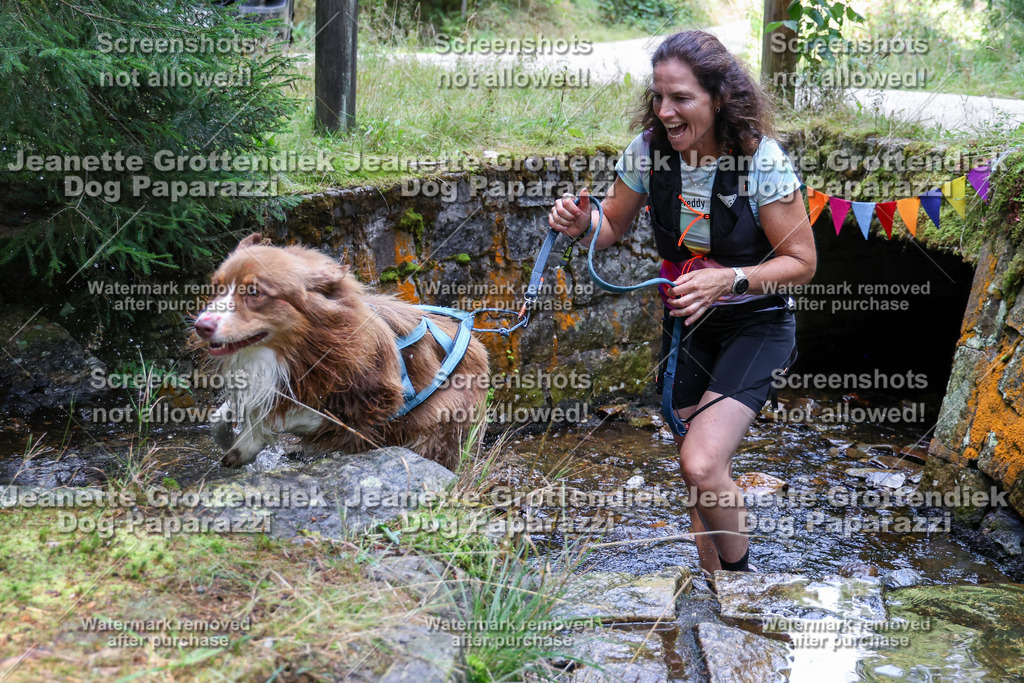 Dog Paparazzi -  TH 26-554 | Dog Paparazzi Jeanette Grottendiek Fotografie & Videografie - Realisiert mit Pictrs.com