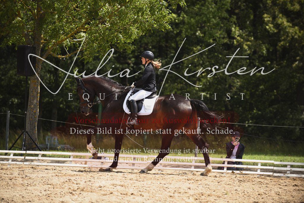 DSC_1226 | Pferde- und Turnierfotografie in Westsachsen. Pferdeportraits, Auftragszeichnungen und intuitive Kunst.