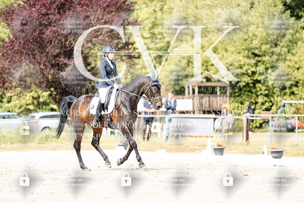 CK901181 | Turnierfotografie Pferdefotografie Trier Rheinland-Pfalz Pferdesport Reitsport Tierfotografie Sportfotografie Pferdevideo Pferdevideografie Equestrianvideography equestrianphotography  - Realisiert mit Pictrs.com