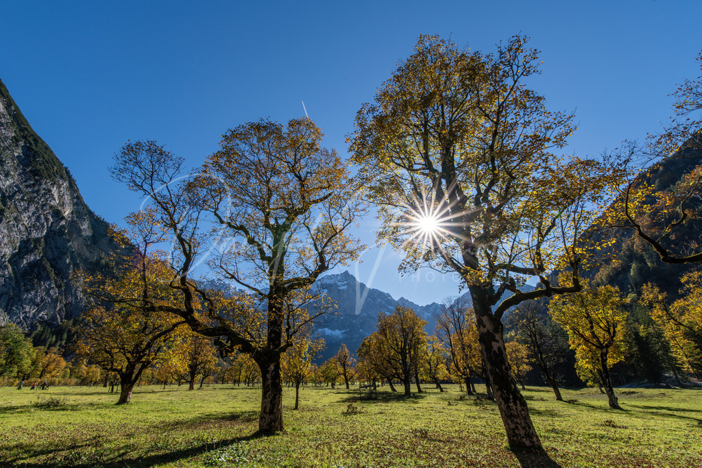 Großer Ahornboden | Herbst am Großen Ahornboden