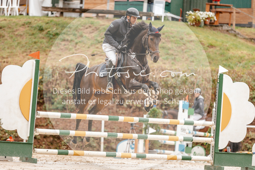 3I6A5870 | Stimmungsvolle Portraits und Reitsportfotografie im Ruhrgebiet und im Münsterland.

Pferdefotografie, Hundefotografie, Tierfotografie, Reportagen, Portraits von Tier und Mensch, Turnierfotografie in Bochum, Recklinghausen, Marl, Haltern am See, Dülmen.. - Realisiert mit Pictrs.com