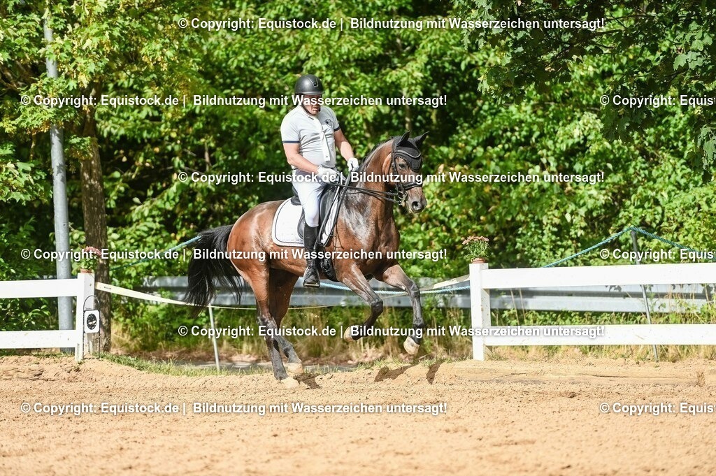 20230716_01_Dressurprüfung Kl.M_0563 | equistock