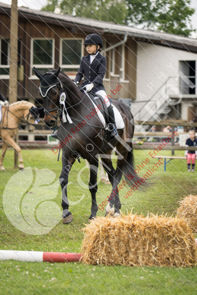 IMG_1999 | Sport-, Event- und Tierfotos in Profiqualität. Einfach auswählen, bestellen und herunterladen. Dein Moment – perfekt festgehalten.